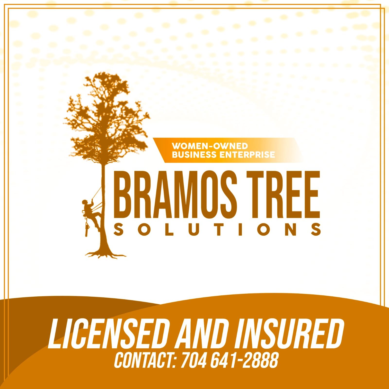 BRAMOS Tree Solution logo